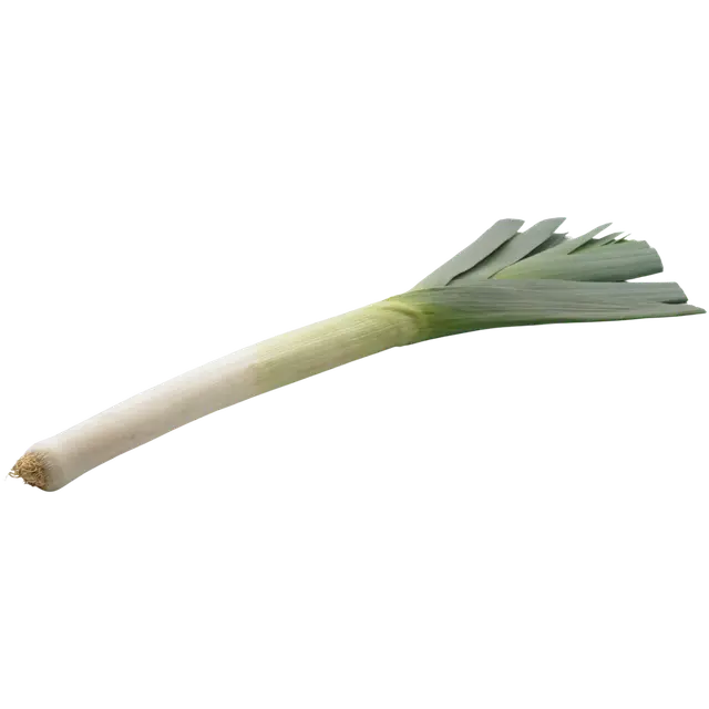 Purjo