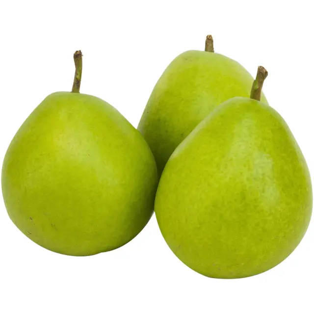 Päärynä I Suomi