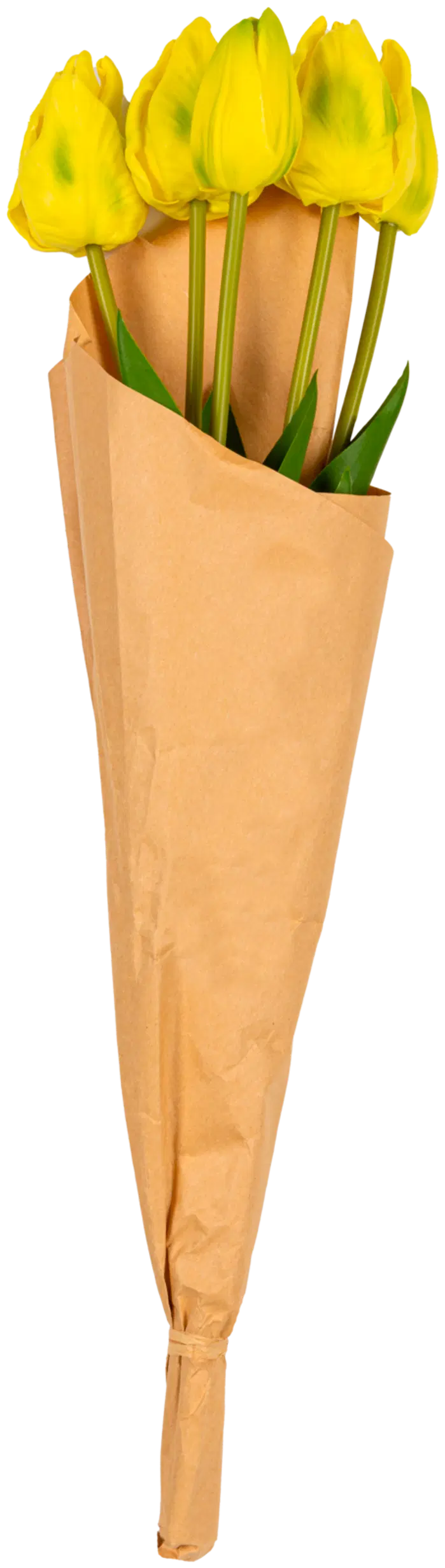 Ei merkkiä Tulppaaninippu 50 cm 5 kpl