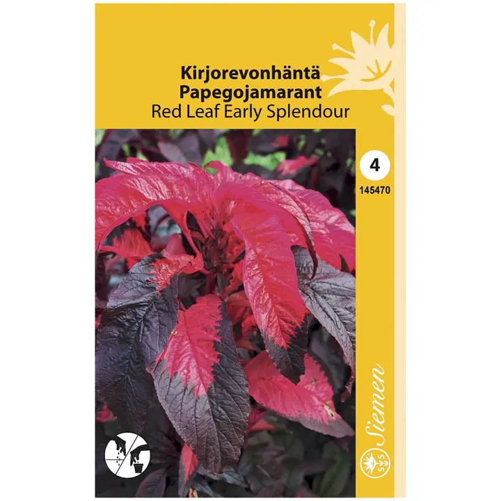 KIRJOREVONHÄNTÄ RED LEAF EARLY SPLENDOUR