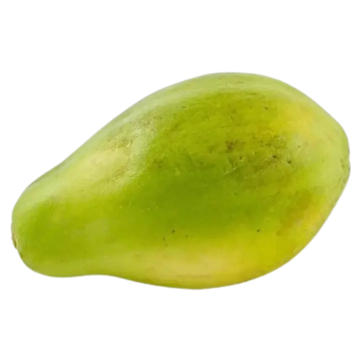 Papaia