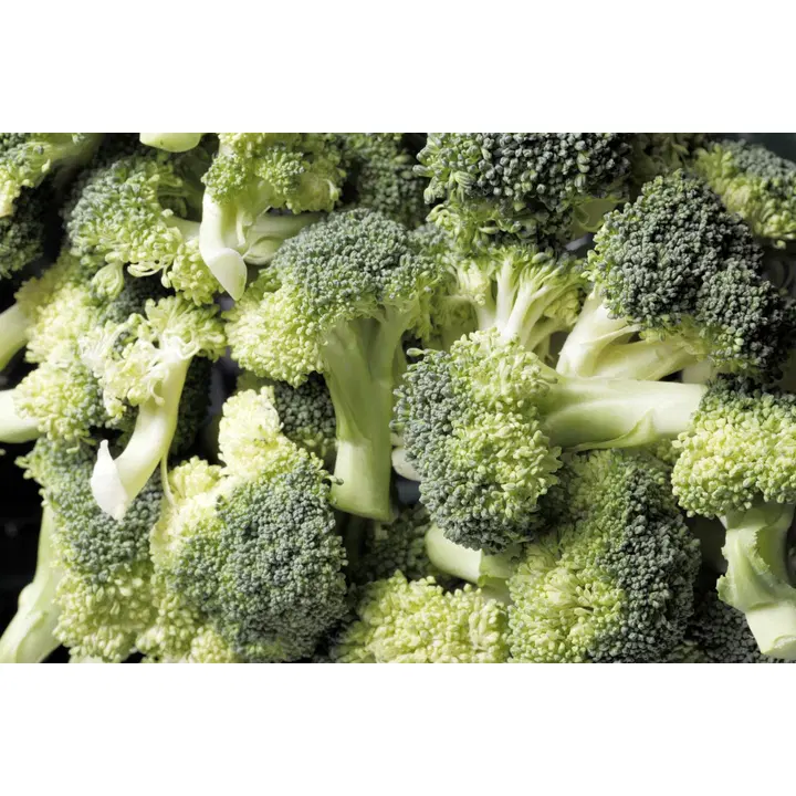 Fresh SalaattiMestari Parsakaali 0,6kg GN¼