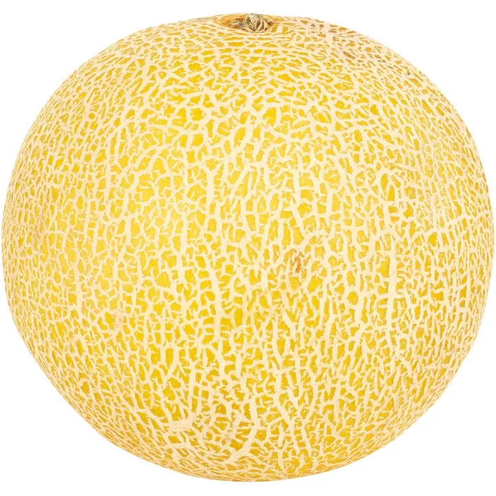 Galiameloni