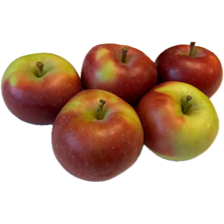 Rahkosen omena, Lobo