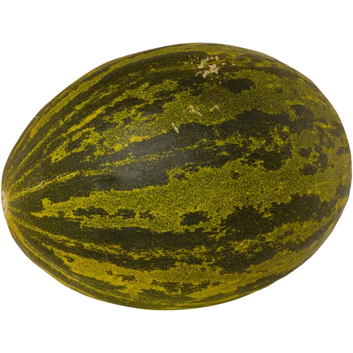 Piele de sapo pakattu pala