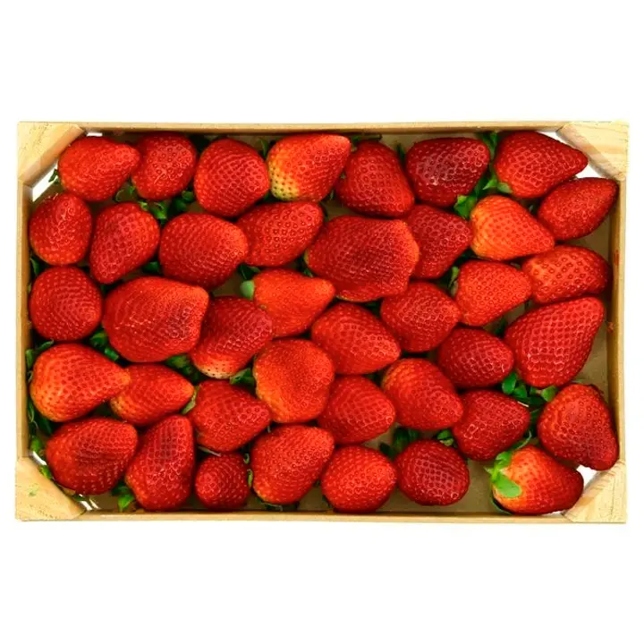 Maasikas kastis 1 kg