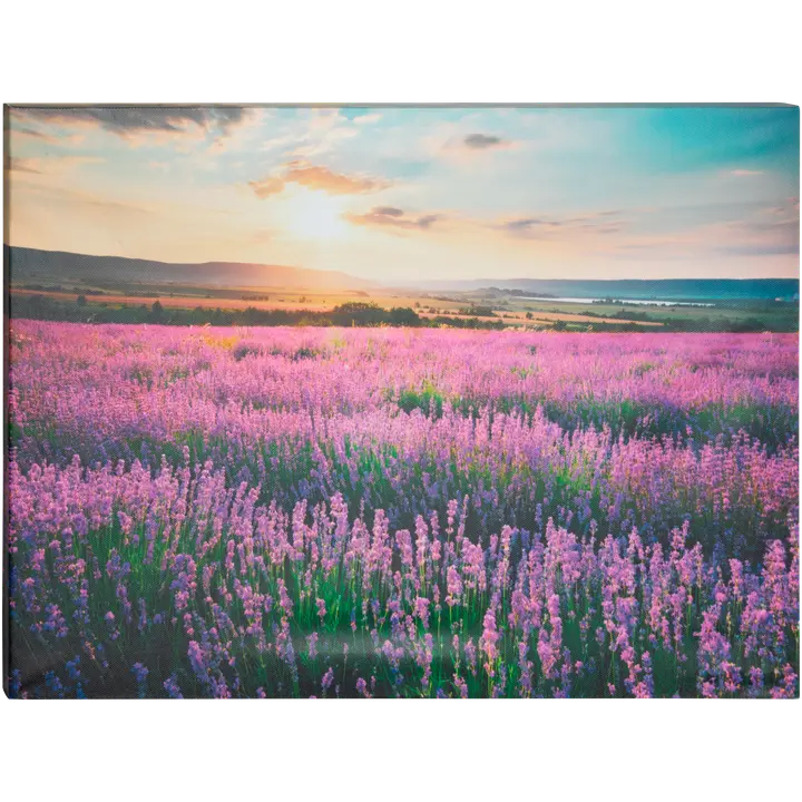 Lõuendtahvel 30X40 Lavendlipõld