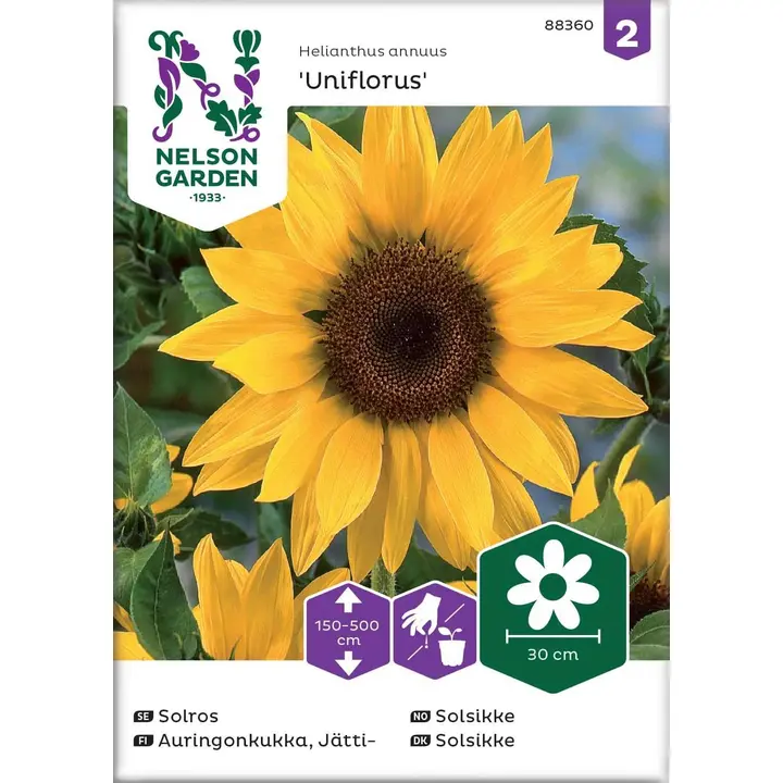 88360 päevalill uniflorus