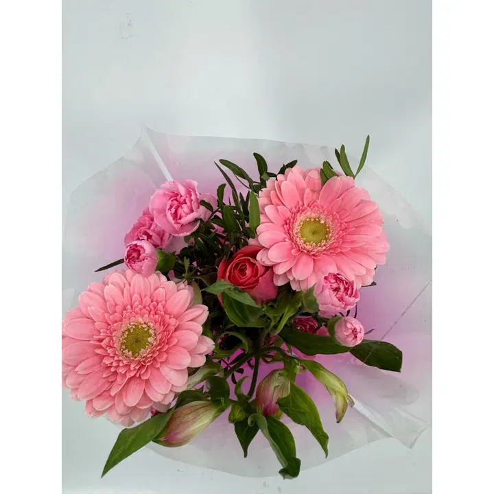 Kimppu Gerbera, lajitelma, vaaleanpunainen tai violetti sekakimppu, 6 oksaa, 50cm