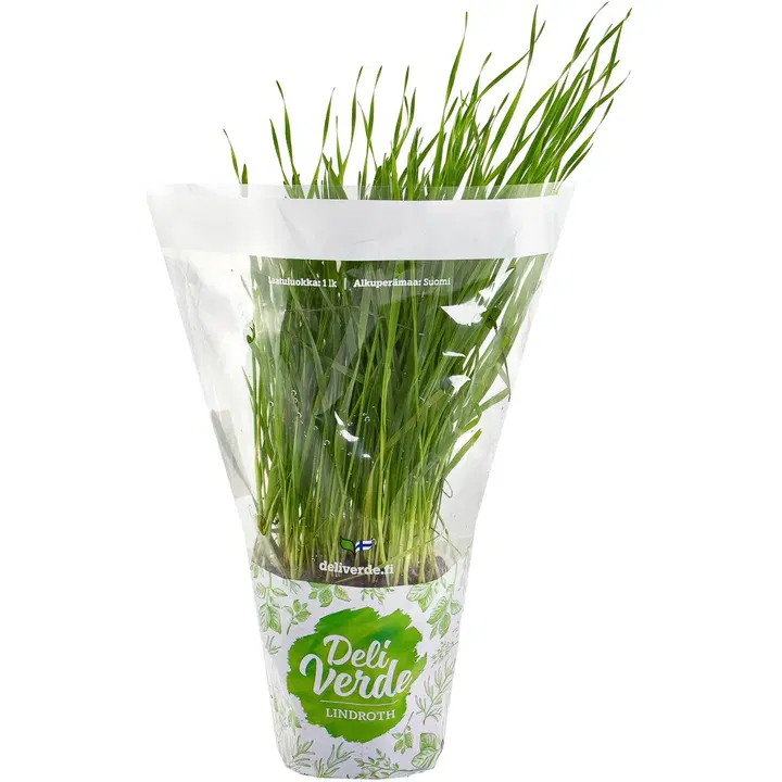 Deliverde vehnäoras