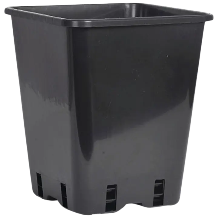 Kasvupott must 20 cm