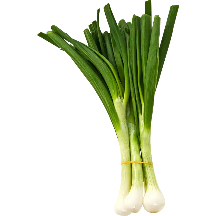 Sipulinippu