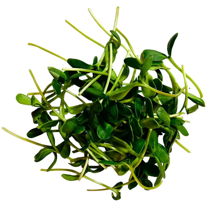 Mahe Päevalille võrsed 50g