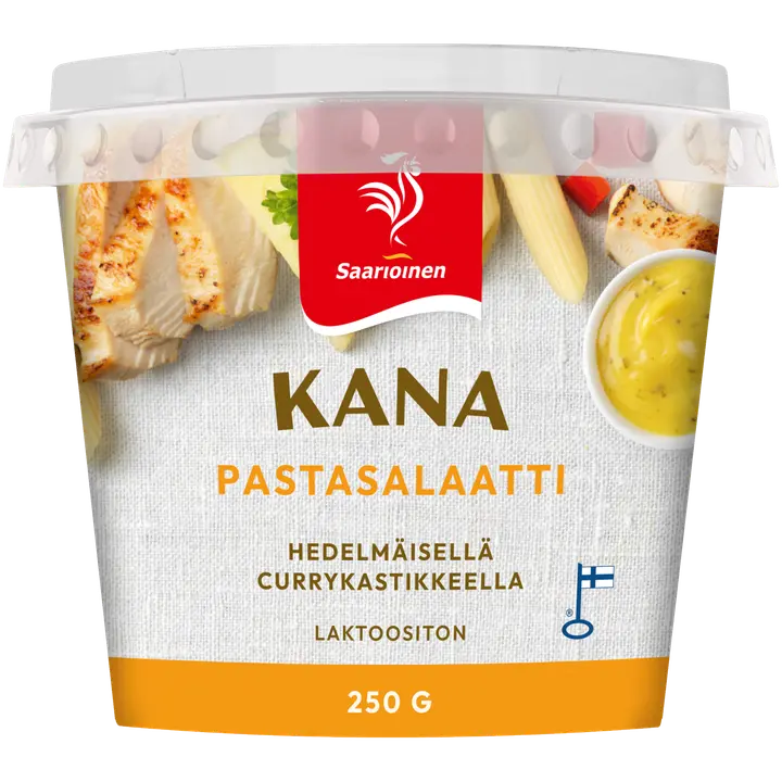 Saarioinen Kana-pastasalaatti 250g
