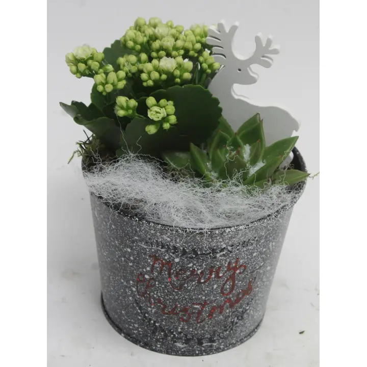 Kompositsioon Valges