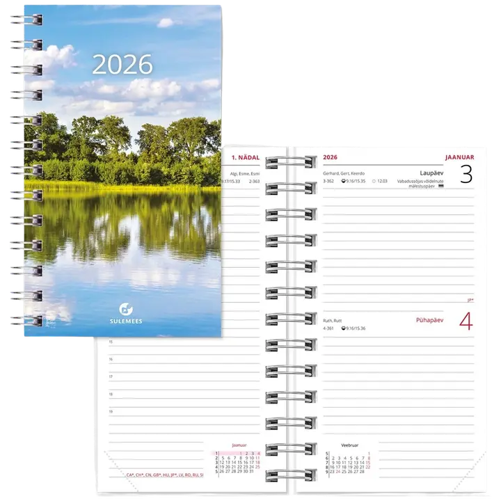 Miniboss päev, sisu