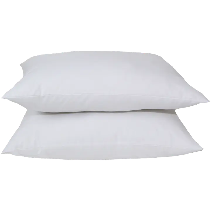 Padjad 2tk Elona 50X60