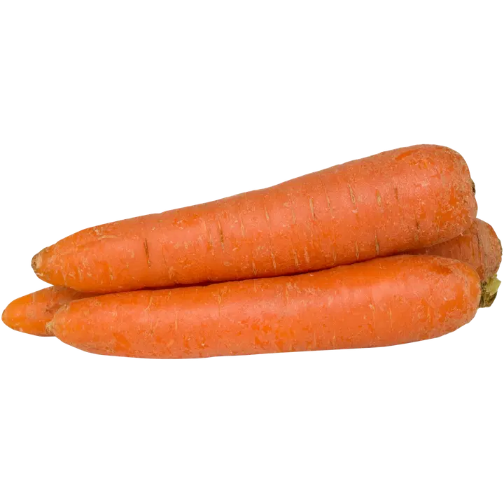 Porkkana pesty