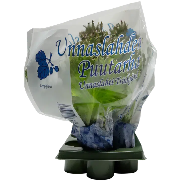 Unnaslahti punainen jääsalaatti 100 g