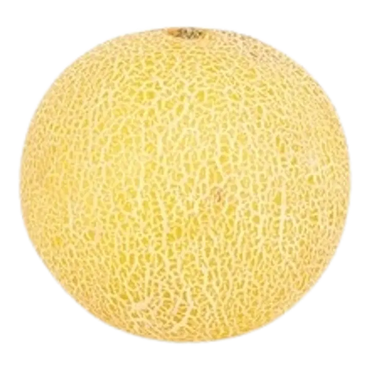 Melon Galia