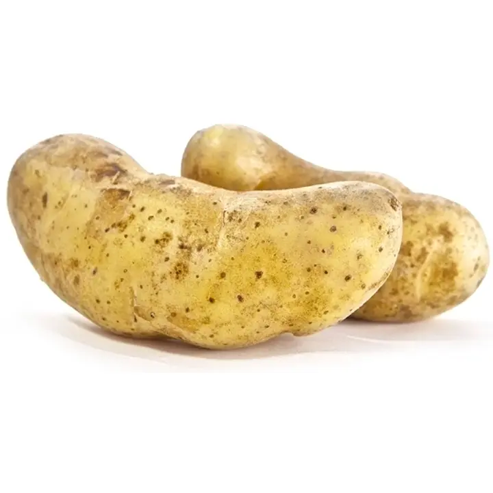 Puikula peruna
