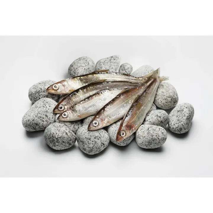 Hätälä muikku noin 12-15 cm