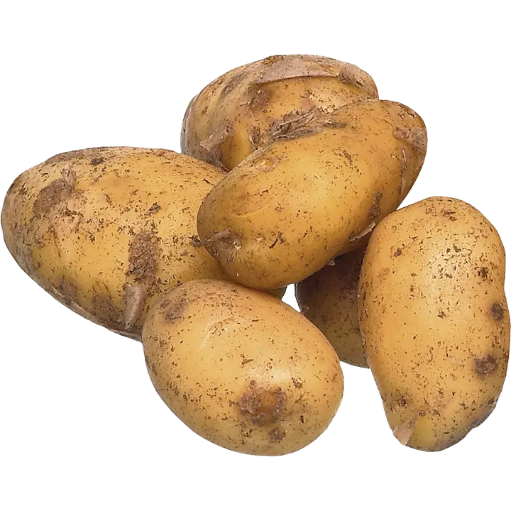Siikli irto multa