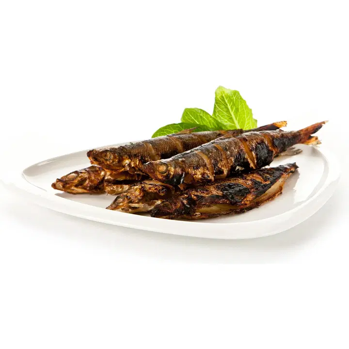 Hätälä Hiilisiika n5kg