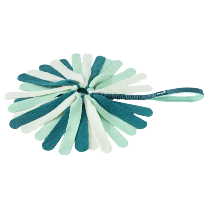 Coachi Puppy & Mini Tuggi Spider Teal & Mint