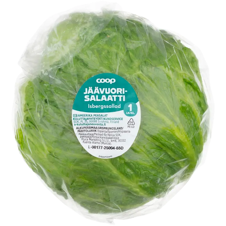 Jäävuorisalaatti