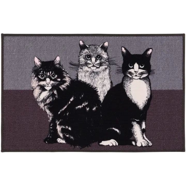 uksematt kassid 50x80cm