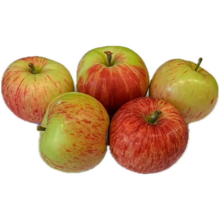 Rahkosen omena, Pirja