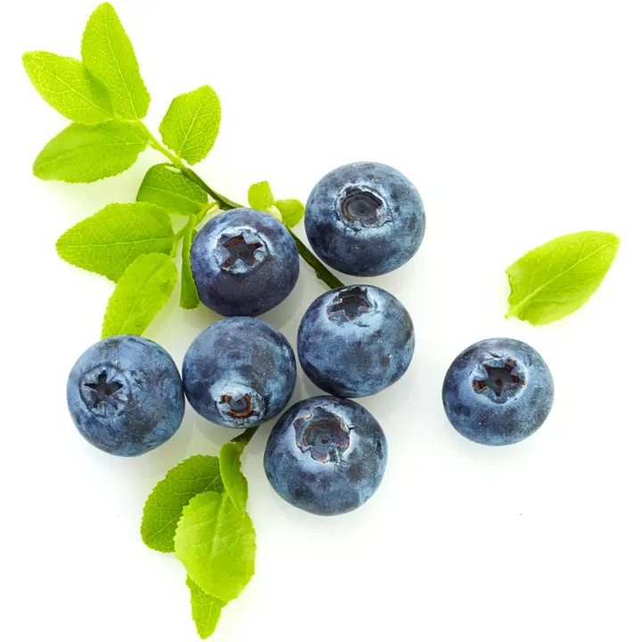 Mattilan Marjatila suomalainen metsämustikka