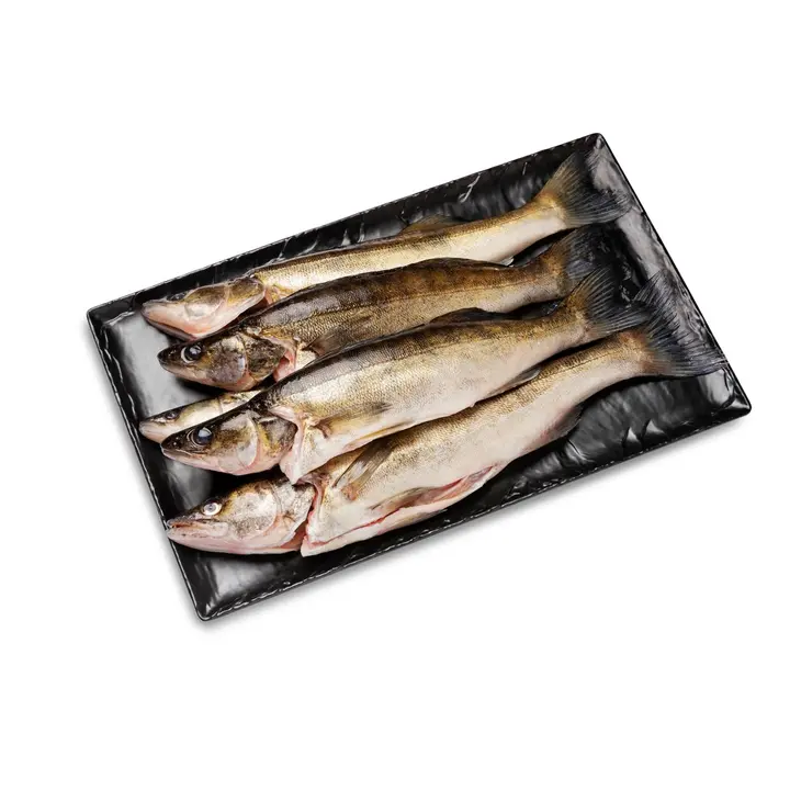 Hätälä Merikuha perattu