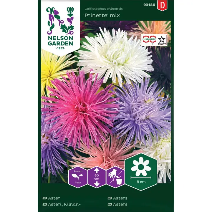 93186 aster prinette väriseos