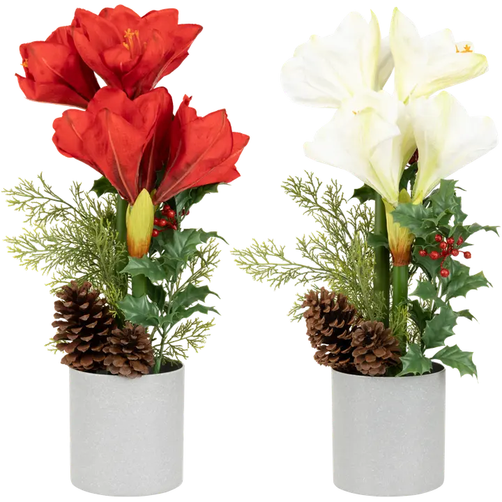 Tekokasvi Amaryllis ruukussa, erilaisia