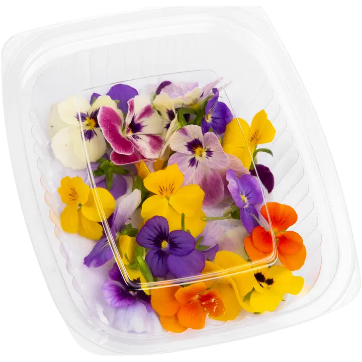 Järvikylän orvokkirasia 20 kpl