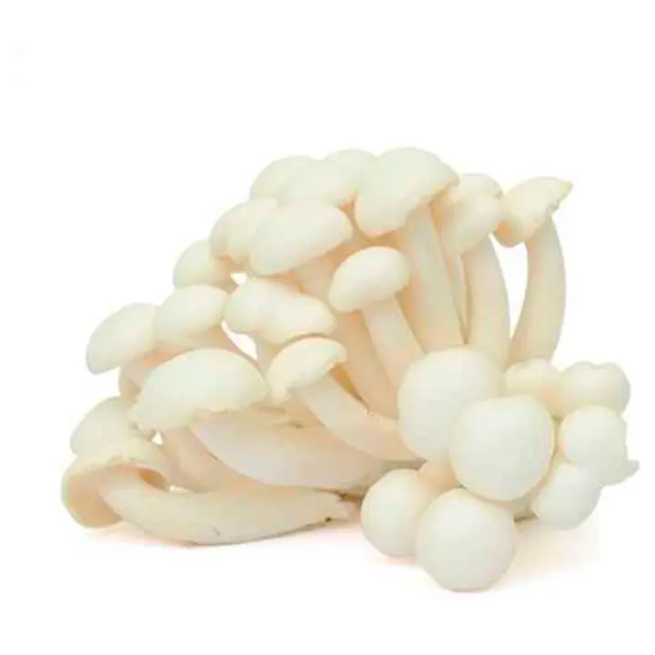 Seen Shimeji valge 150g