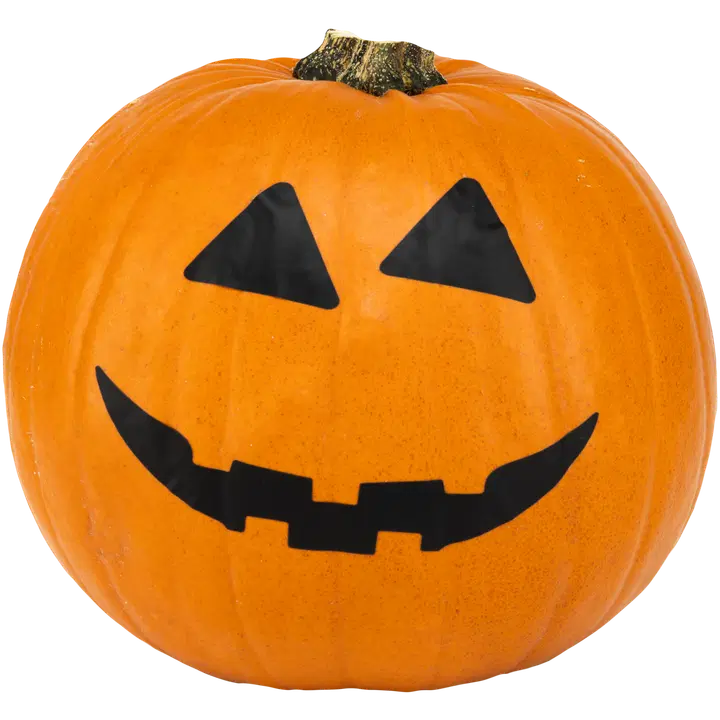 Rannikon puutarha Halloween Kurpitsa