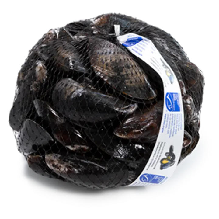 MSC Sinisimpukka, elävä 1kg