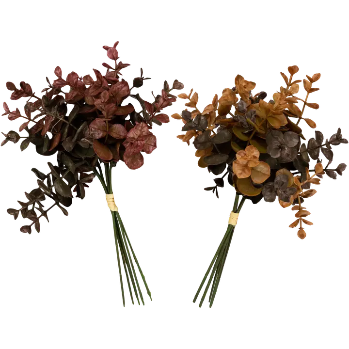 Tekokimppu eukalyptus, pieni