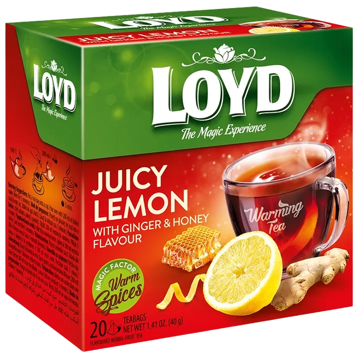 Loyd puuviljatee Pyramids Warming Sidrun 40g