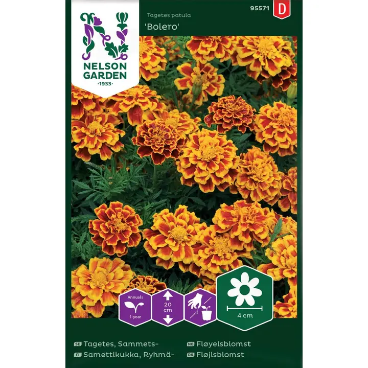 95571 peiulill bolero