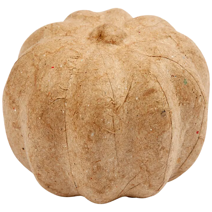 Pahvikurpitsa