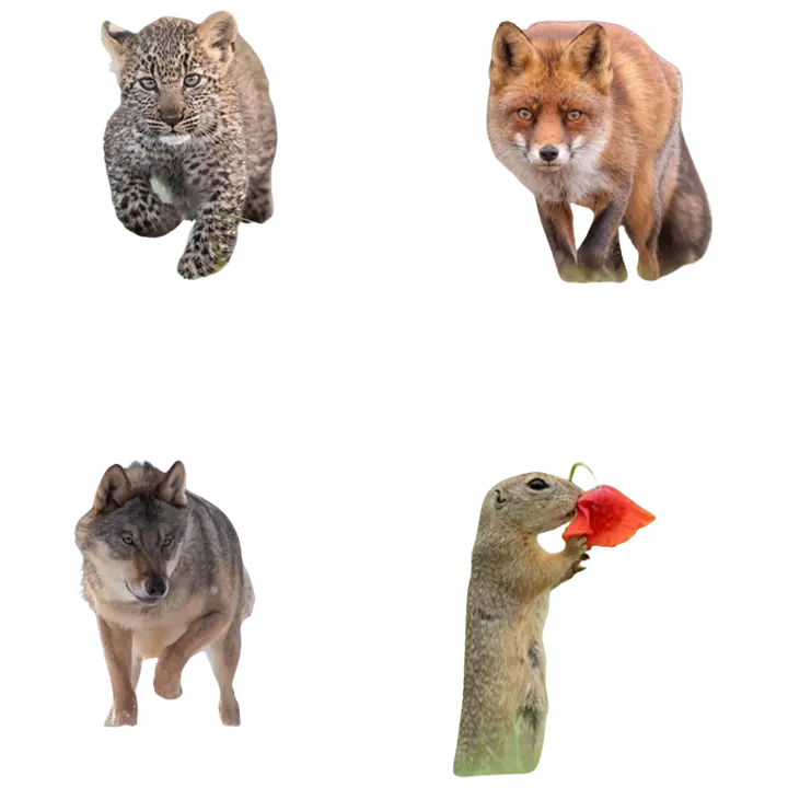 Kaustik 36l jooneline, loomad, hans