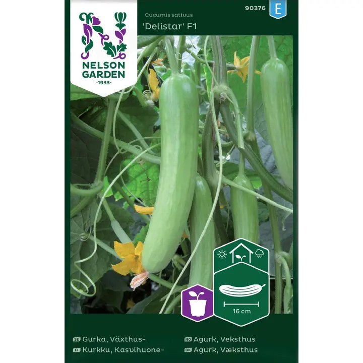 90376 kurk, kasvohoone delistar f1