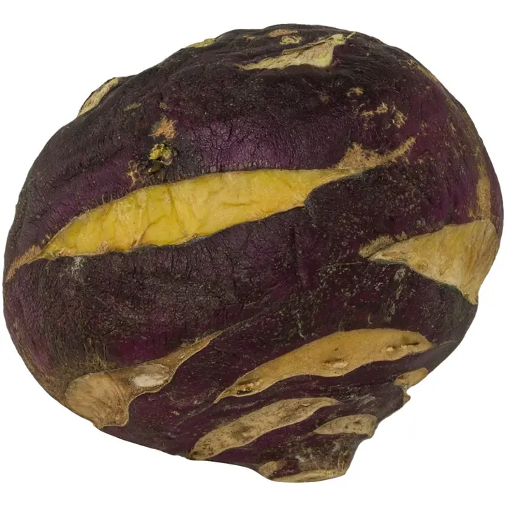 Kyssäkaali