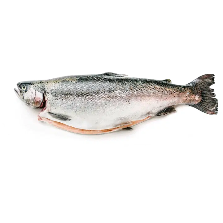 Kirjolohi kokonainen