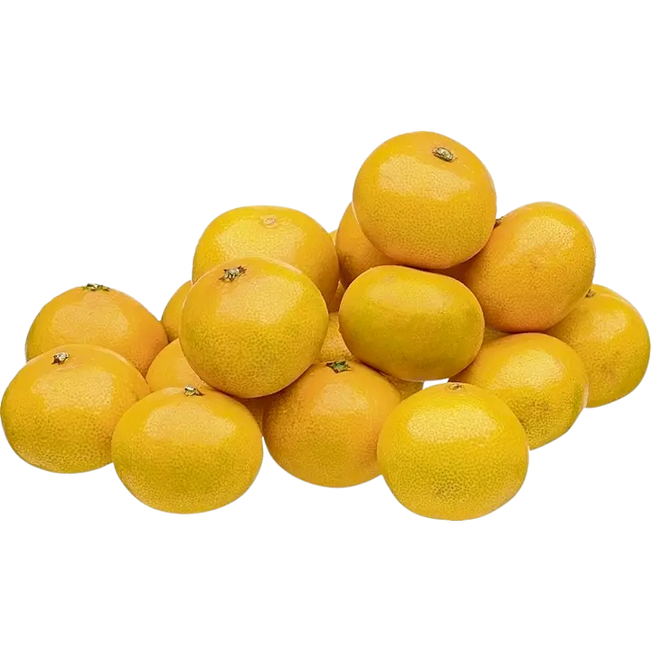 Satsuma
