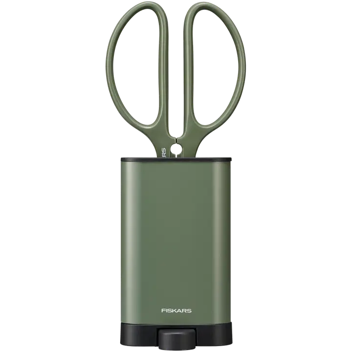 Taimekäärid ja alus